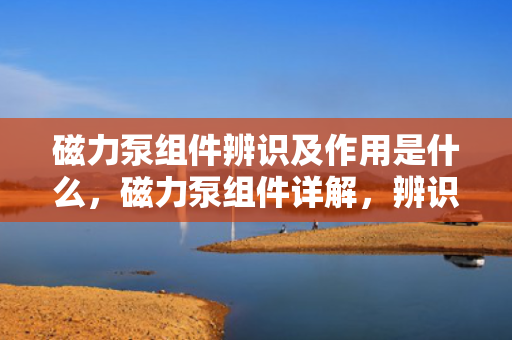 磁力泵组件辨识及作用是什么，磁力泵组件详解，辨识各部件及其关键作用
