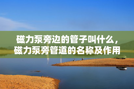 磁力泵旁边的管子叫什么，磁力泵旁管道的名称及作用