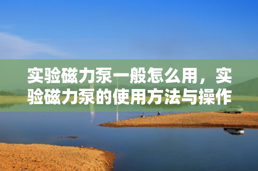 实验磁力泵一般怎么用，实验磁力泵的使用方法与操作指南