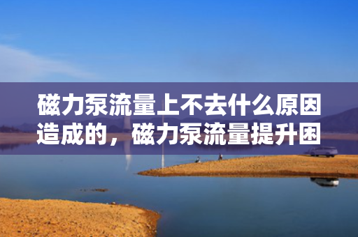 磁力泵流量上不去什么原因造成的，磁力泵流量提升困难的原因解析