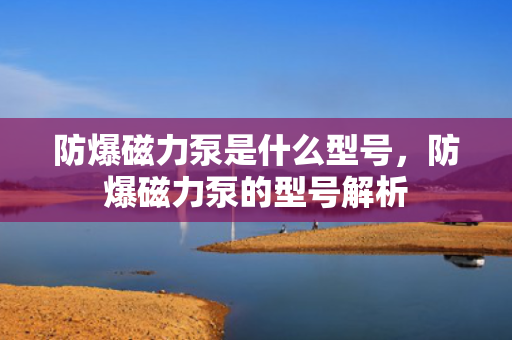 防爆磁力泵是什么型号，防爆磁力泵的型号解析