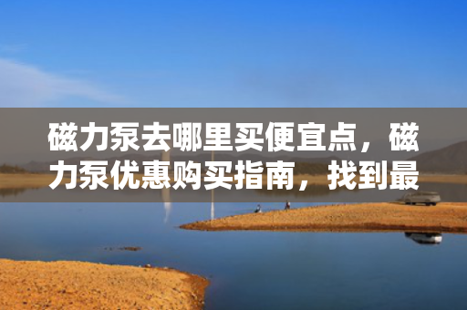 磁力泵去哪里买便宜点，磁力泵优惠购买指南，找到最便宜的购买渠道