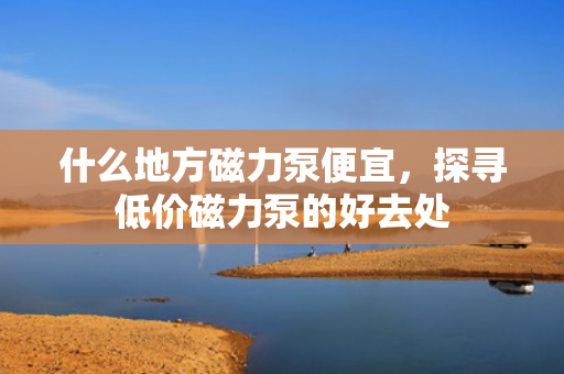 什么地方磁力泵便宜，探寻低价磁力泵的好去处