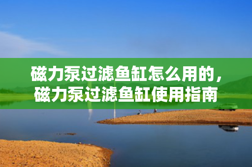 磁力泵过滤鱼缸怎么用的，磁力泵过滤鱼缸使用指南