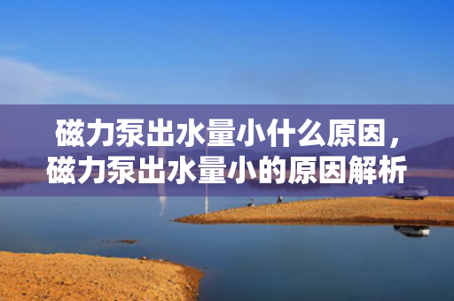 磁力泵出水量小什么原因，磁力泵出水量小的原因解析
