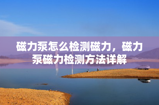 磁力泵怎么检测磁力，磁力泵磁力检测方法详解