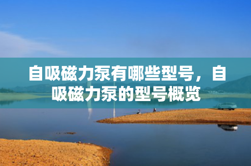 自吸磁力泵有哪些型号，自吸磁力泵的型号概览