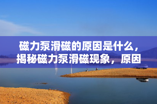 磁力泵滑磁的原因是什么，揭秘磁力泵滑磁现象，原因解析与探讨