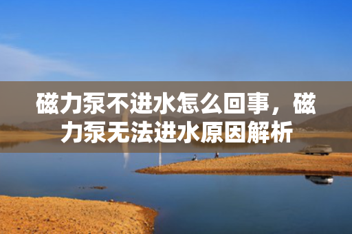 磁力泵不进水怎么回事，磁力泵无法进水原因解析