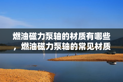 燃油磁力泵轴的材质有哪些，燃油磁力泵轴的常见材质概述