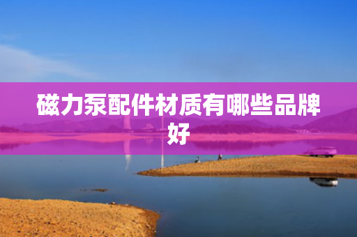 磁力泵配件材质有哪些品牌好