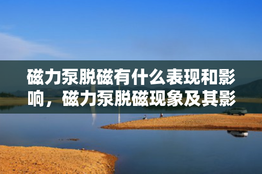 磁力泵脱磁有什么表现和影响，磁力泵脱磁现象及其影响解析