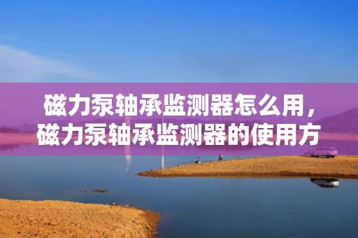 磁力泵轴承监测器怎么用，磁力泵轴承监测器的使用方法