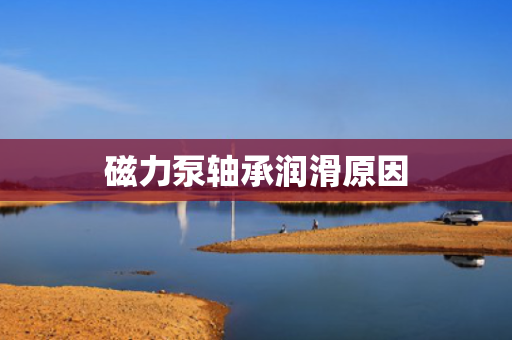 磁力泵轴承润滑原因