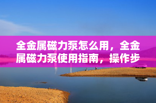 全金属磁力泵怎么用，全金属磁力泵使用指南，操作步骤与注意事项