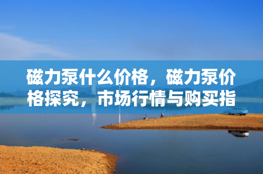磁力泵什么价格，磁力泵价格探究，市场行情与购买指南