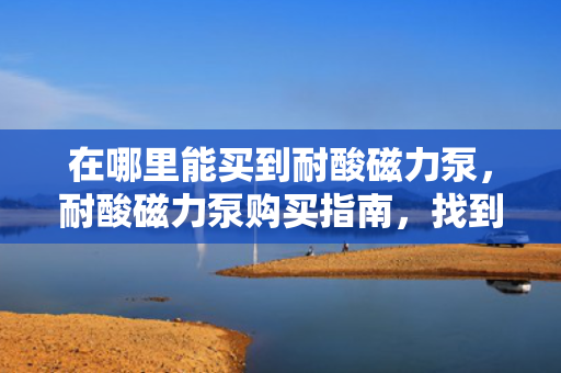 在哪里能买到耐酸磁力泵，耐酸磁力泵购买指南，找到最适合你的购买渠道