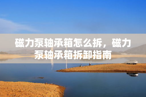 磁力泵轴承箱怎么拆，磁力泵轴承箱拆卸指南