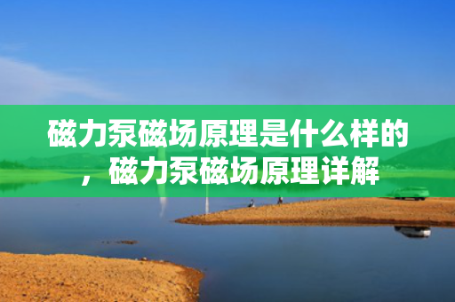 磁力泵磁场原理是什么样的，磁力泵磁场原理详解