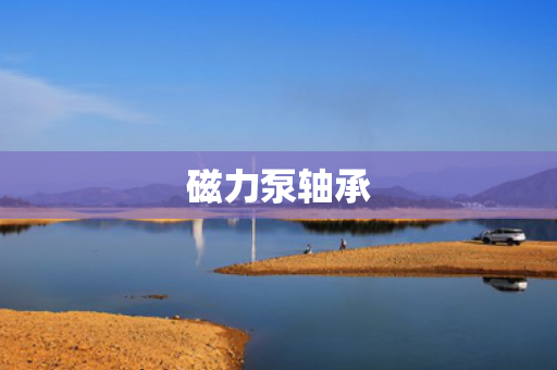 磁力泵轴承