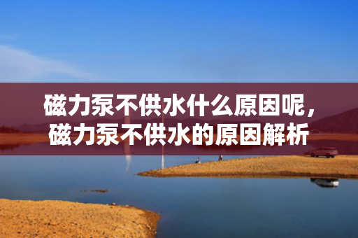 磁力泵不供水什么原因呢，磁力泵不供水的原因解析