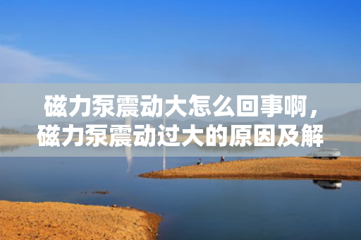 磁力泵震动大怎么回事啊，磁力泵震动过大的原因及解决方法