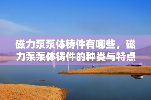 磁力泵泵体铸件有哪些，磁力泵泵体铸件的种类与特点