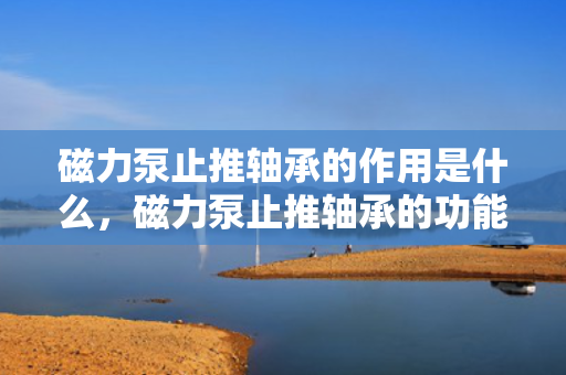 磁力泵止推轴承的作用是什么，磁力泵止推轴承的功能及作用解析