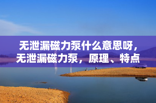 无泄漏磁力泵什么意思呀，无泄漏磁力泵，原理、特点及应用解析