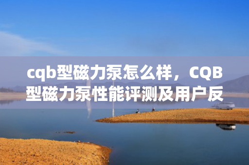 cqb型磁力泵怎么样，CQB型磁力泵性能评测及用户反馈