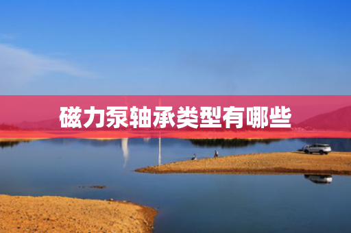磁力泵轴承类型有哪些