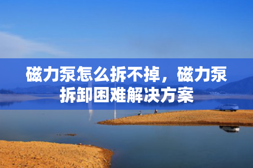 磁力泵怎么拆不掉，磁力泵拆卸困难解决方案