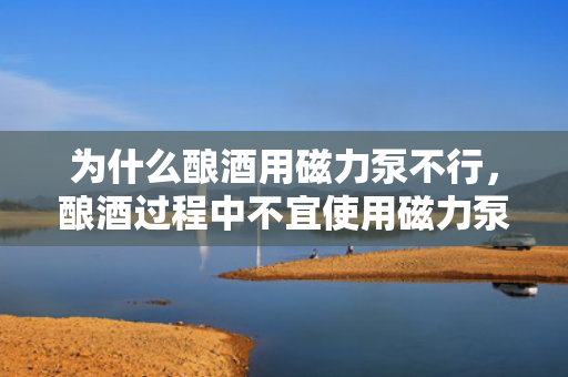 为什么酿酒用磁力泵不行，酿酒过程中不宜使用磁力泵的原因解析