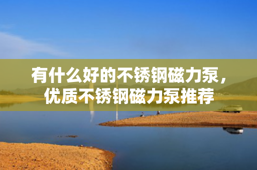 有什么好的不锈钢磁力泵，优质不锈钢磁力泵推荐