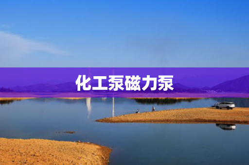化工泵磁力泵