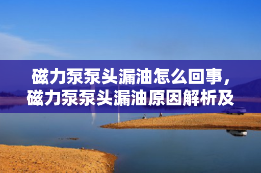 磁力泵泵头漏油怎么回事，磁力泵泵头漏油原因解析及处理方法