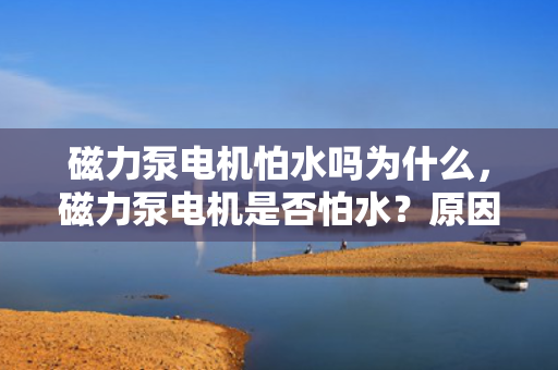 磁力泵电机怕水吗为什么，磁力泵电机是否怕水？原因解析