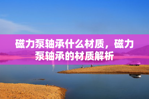 磁力泵轴承什么材质，磁力泵轴承的材质解析