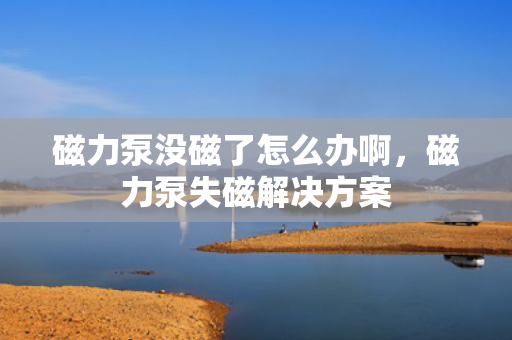 磁力泵没磁了怎么办啊，磁力泵失磁解决方案