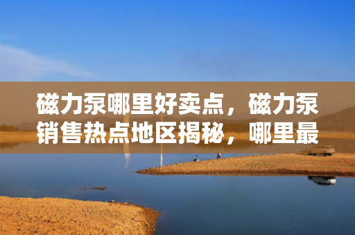 磁力泵哪里好卖点，磁力泵销售热点地区揭秘，哪里最好卖？