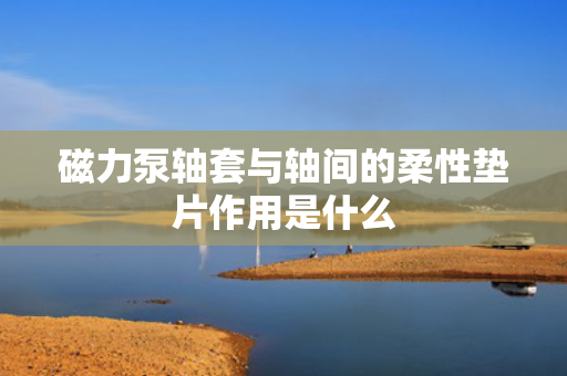 磁力泵轴套与轴间的柔性垫片作用是什么