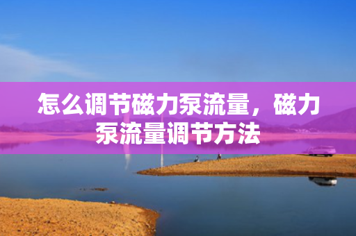 怎么调节磁力泵流量，磁力泵流量调节方法