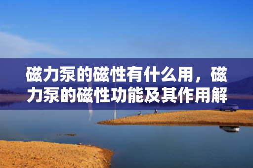 磁力泵的磁性有什么用，磁力泵的磁性功能及其作用解析