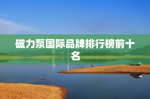 磁力泵国际品牌排行榜前十名