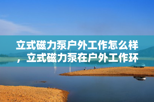 立式磁力泵户外工作怎么样，立式磁力泵在户外工作环境中的性能表现