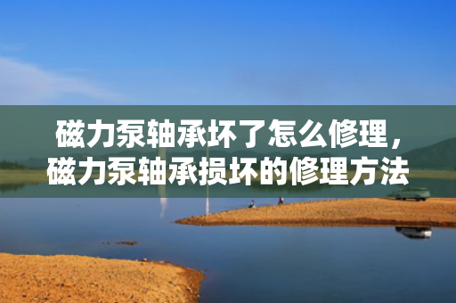 磁力泵轴承坏了怎么修理，磁力泵轴承损坏的修理方法与步骤