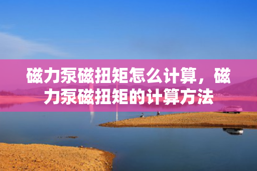 磁力泵磁扭矩怎么计算，磁力泵磁扭矩的计算方法