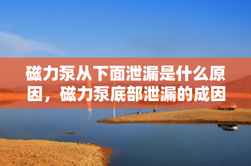 磁力泵从下面泄漏是什么原因，磁力泵底部泄漏的成因解析