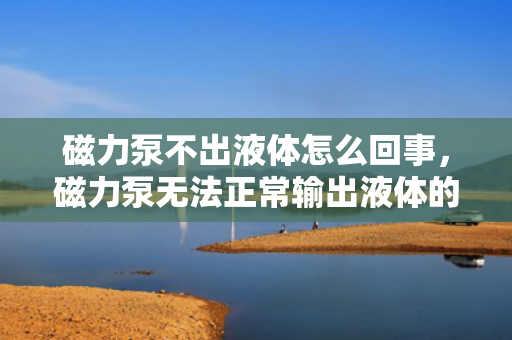 磁力泵不出液体怎么回事，磁力泵无法正常输出液体的可能原因及解决方法