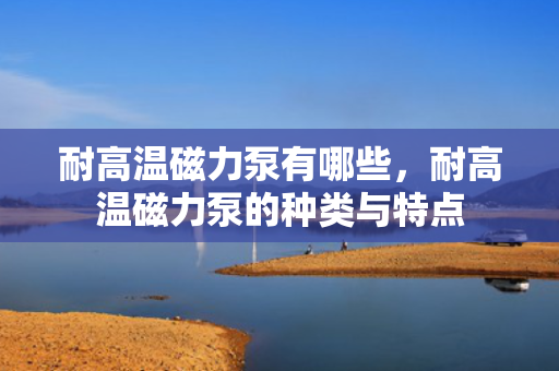 耐高温磁力泵有哪些，耐高温磁力泵的种类与特点